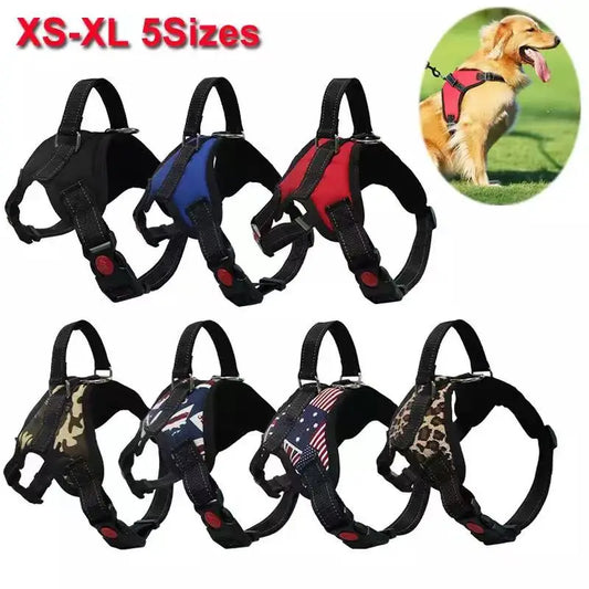 Road Trip Adventures with the Reflective Pet Harness & Leash Set