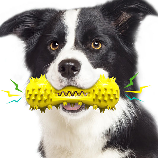 🏨 Pet-Friendly Hotel Chains (No or Low Pet Fees)