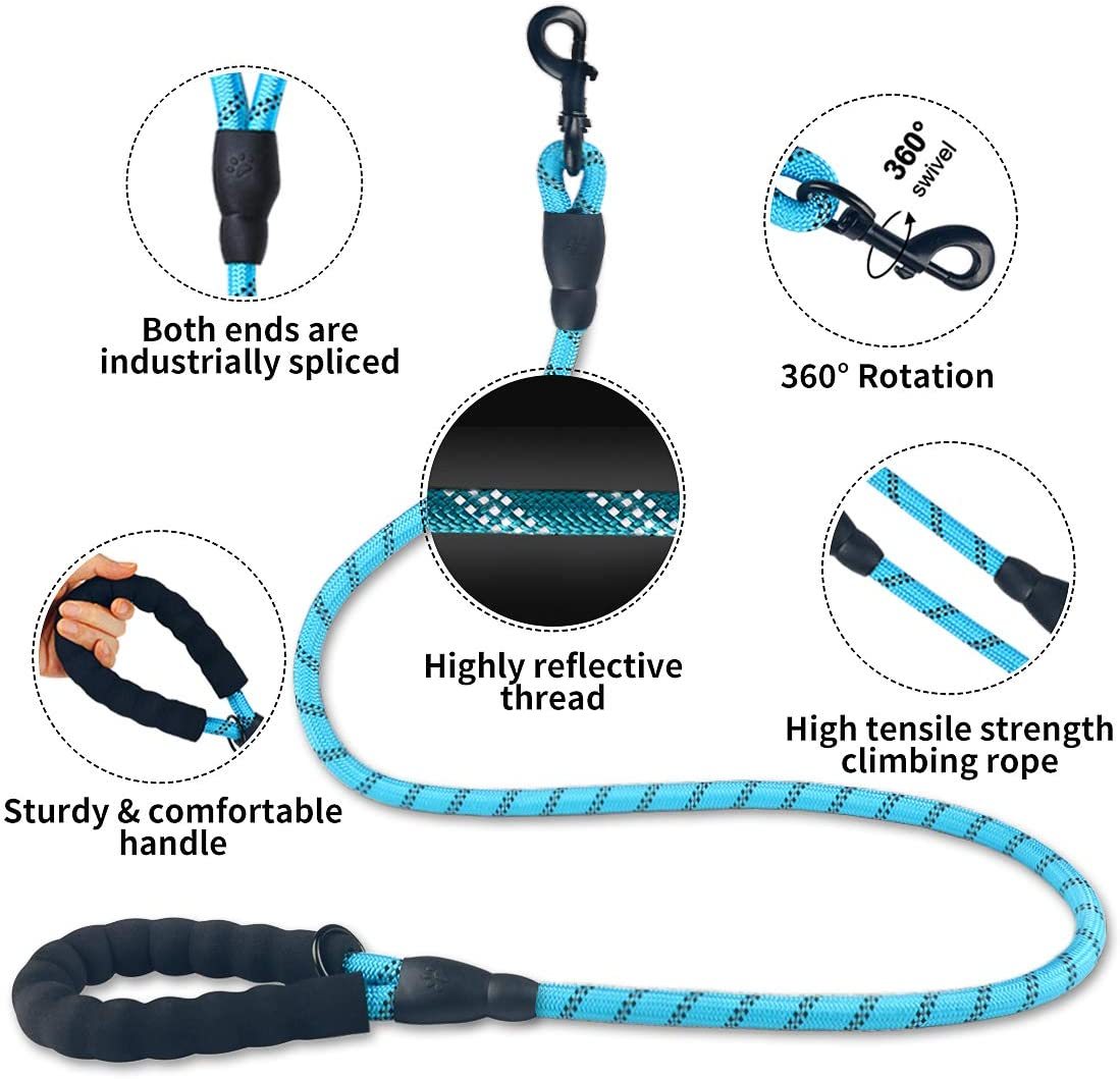 Vibrant Spectrum Dog Leash - Multi-Color Design for Stylish Walks
