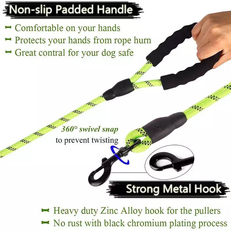 Vibrant Spectrum Dog Leash - Multi-Color Design for Stylish Walks