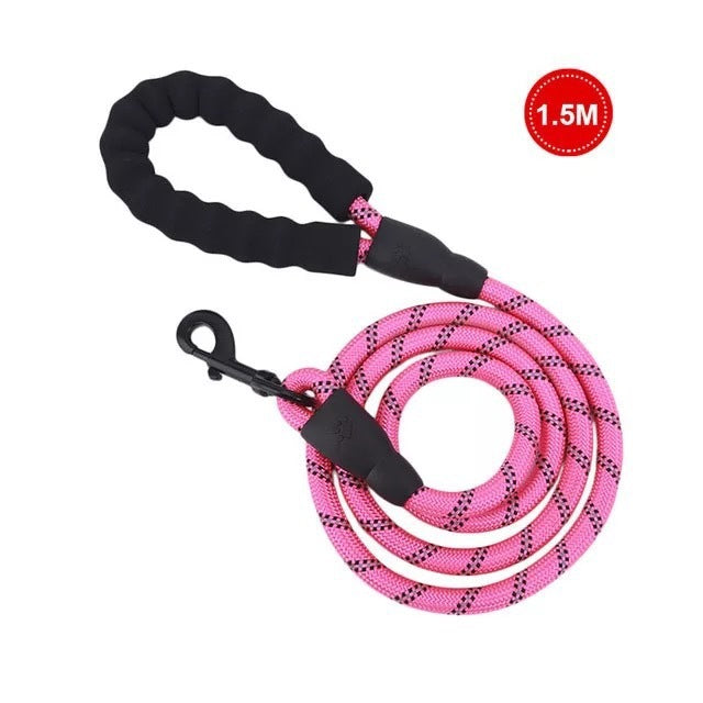 Vibrant Spectrum Dog Leash - Multi-Color Design for Stylish Walks