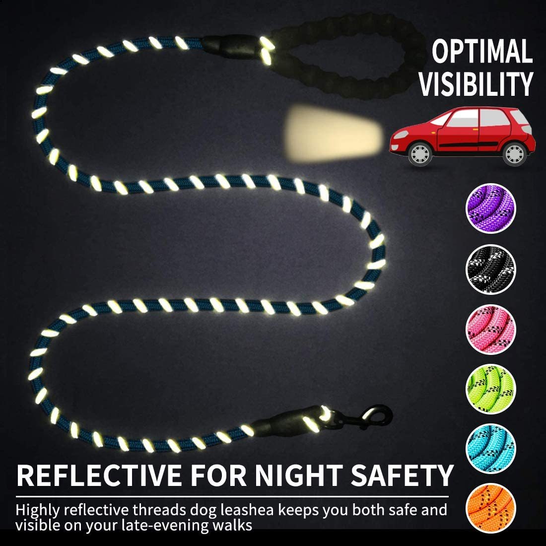Vibrant Spectrum Dog Leash - Multi-Color Design for Stylish Walks