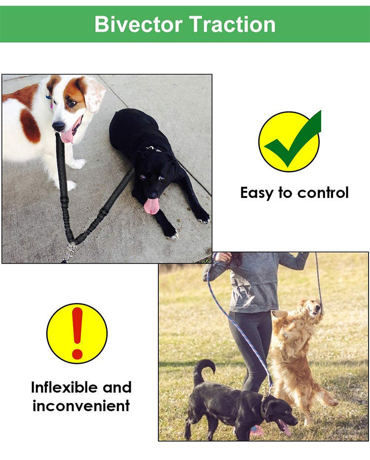 Multipurpose Dual-Head Dog Leash