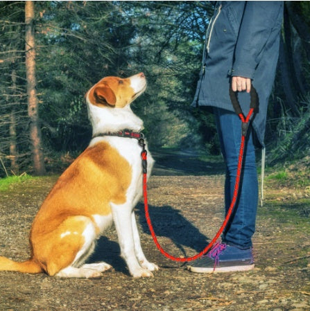 Reflective Anti-Skid Handle Multi-Color Leash