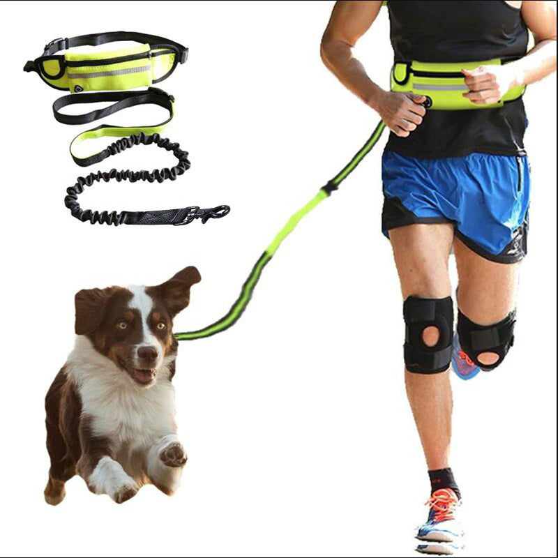 Hands Free with Shock Absorbing Bungee Leash, Belt Phone Pocket, Water Bottle Holder