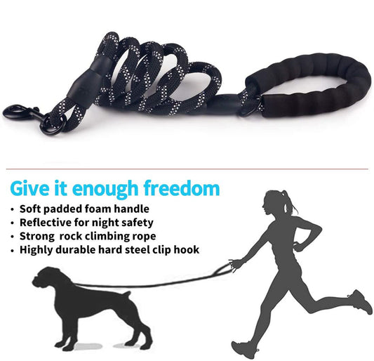 Vibrant Spectrum Dog Leash - Multi-Color Design for Stylish Walks