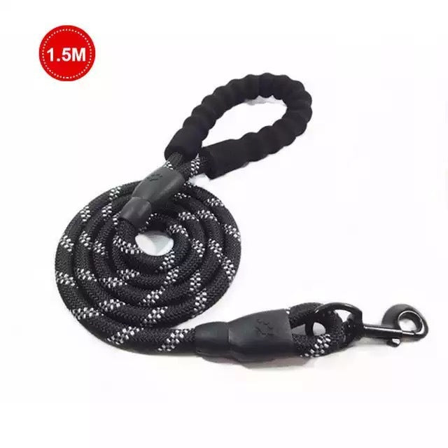 Vibrant Spectrum Dog Leash - Multi-Color Design for Stylish Walks