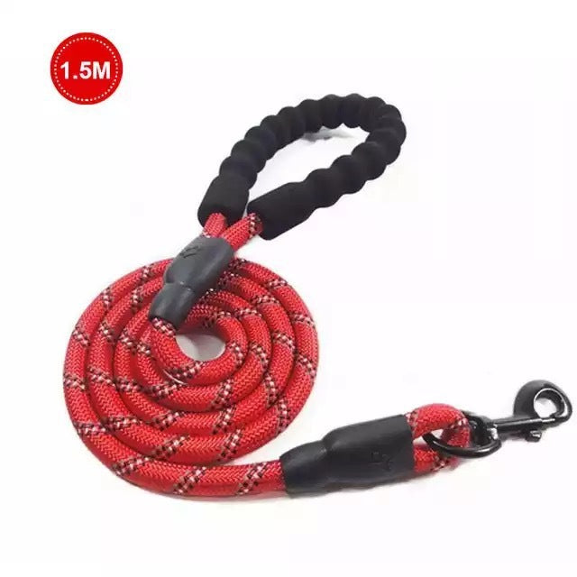 Vibrant Spectrum Dog Leash - Multi-Color Design for Stylish Walks