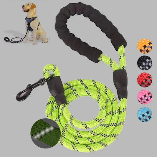 Vibrant Spectrum Dog Leash - Multi-Color Design for Stylish Walks