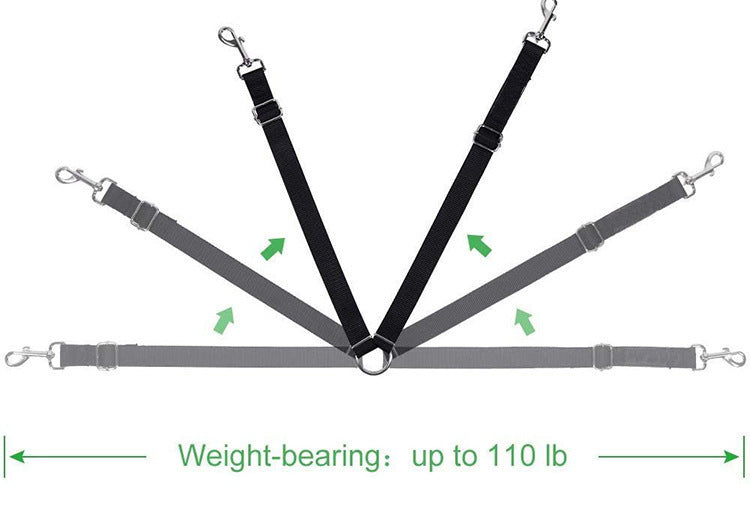 Multipurpose Dual-Head Dog Leash