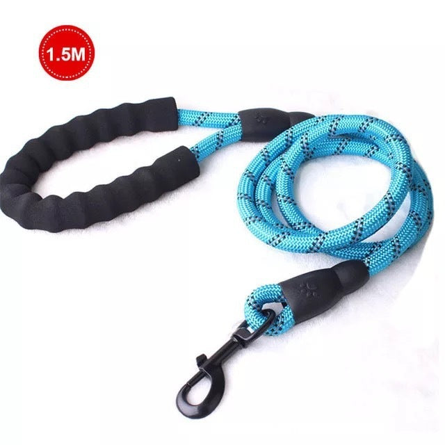 Vibrant Spectrum Dog Leash - Multi-Color Design for Stylish Walks