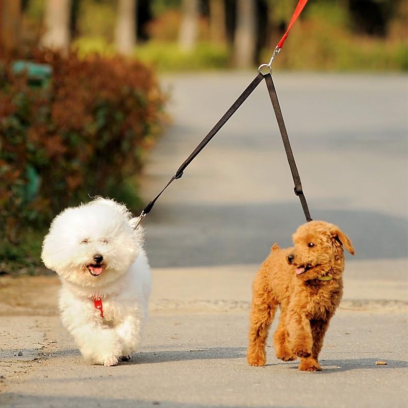 🐕 Harnesses & Adventure Gear