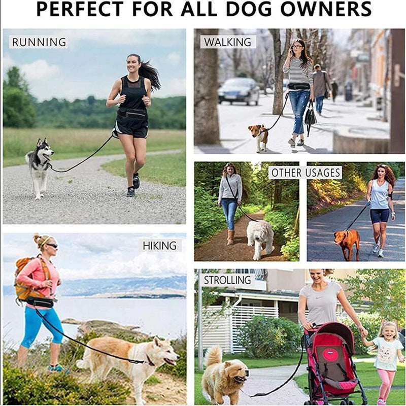 Hands Free with Shock Absorbing Bungee Leash For Up To 180 lbs Dogs, Belt Phone Pocket and Water Bottle Holder