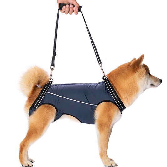 Elderly & Disable Dog Auxiliary Vest with Long Lead Handle