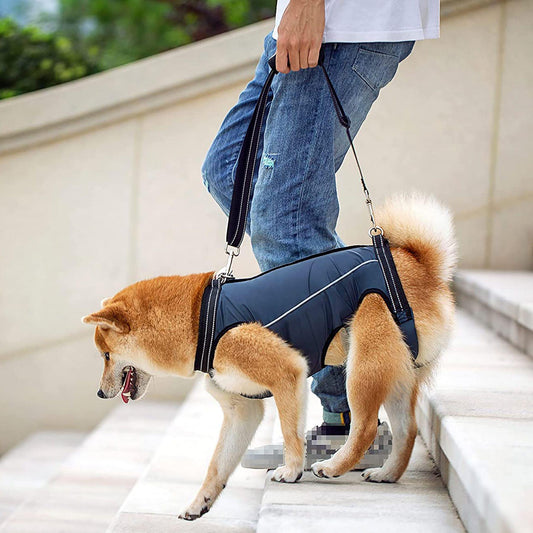 Elderly & Disable Dog Auxiliary Vest with Long Lead Handle