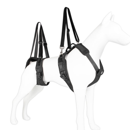 Split Assisted Chest Strap For Disabled Dogs