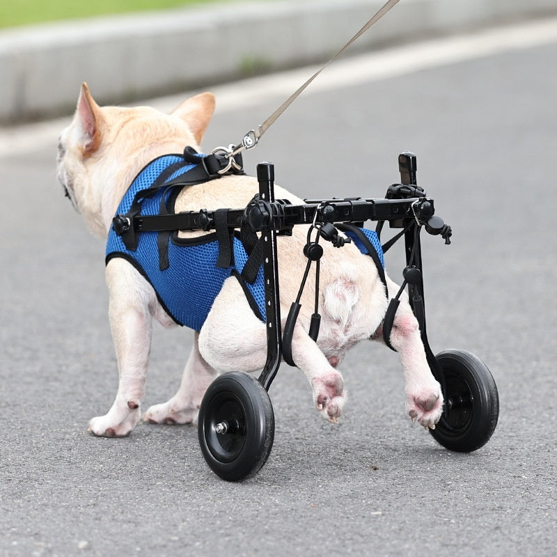 Disabled Dog Wheelchair Scooter