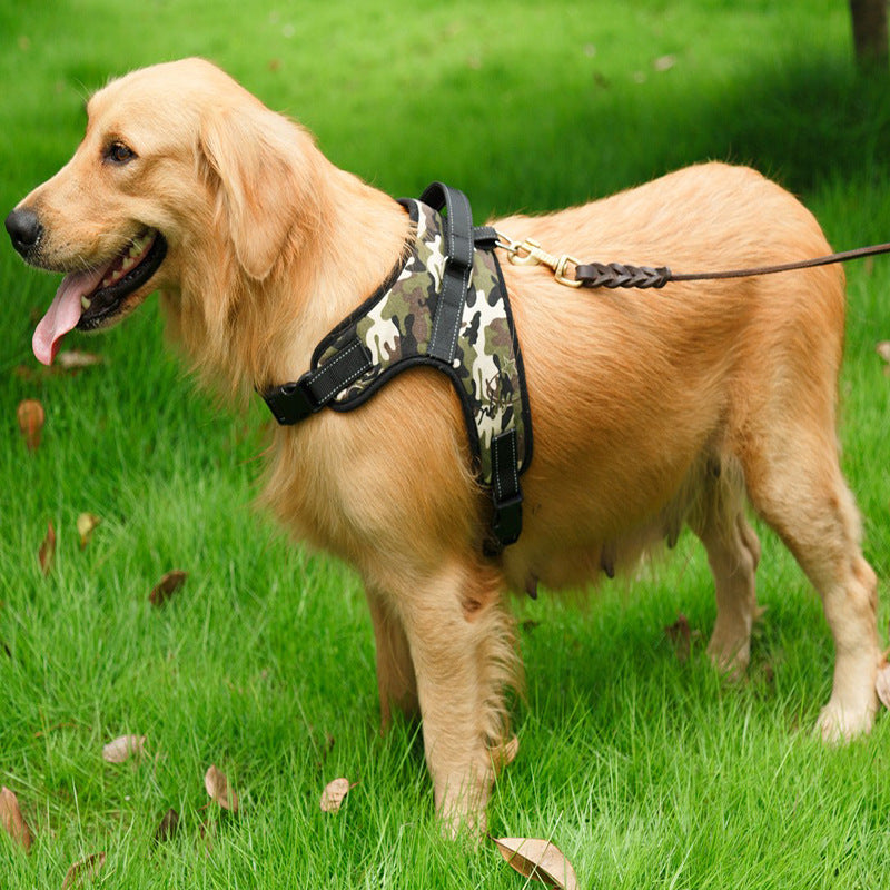 Dog wearing a camouflage reflective harness 